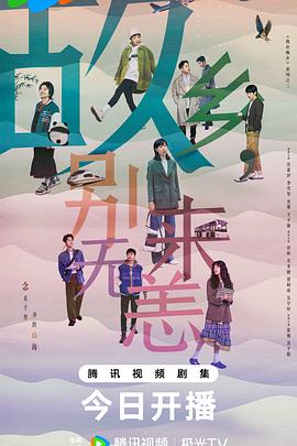 大庆网站优化代理商